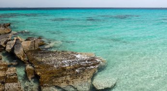Der berühmte Strand Platja es Trenc auf Mallorca